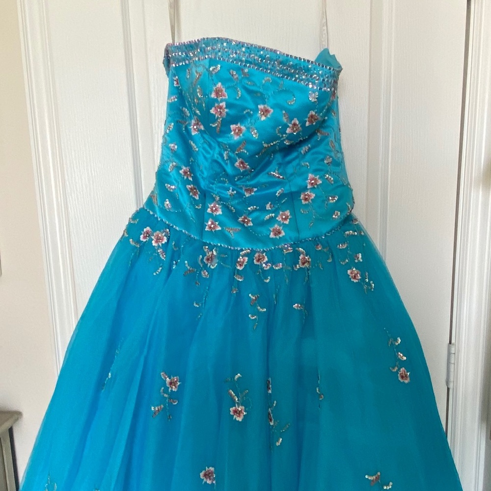 Prom/Quinceañera Dress